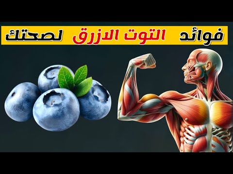 تعرف على فوائد التوت الازرق او التوت البري للصحة التوت الأزرق للقلب للدماغ للسكري