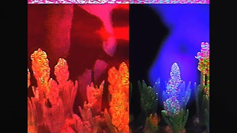 RealTealAngel.wav (VHS MUSIC VIDEO)