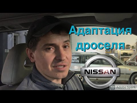 Video: Kuinka poistat ajovalot vuoden 2002 Nissan Altimasta?