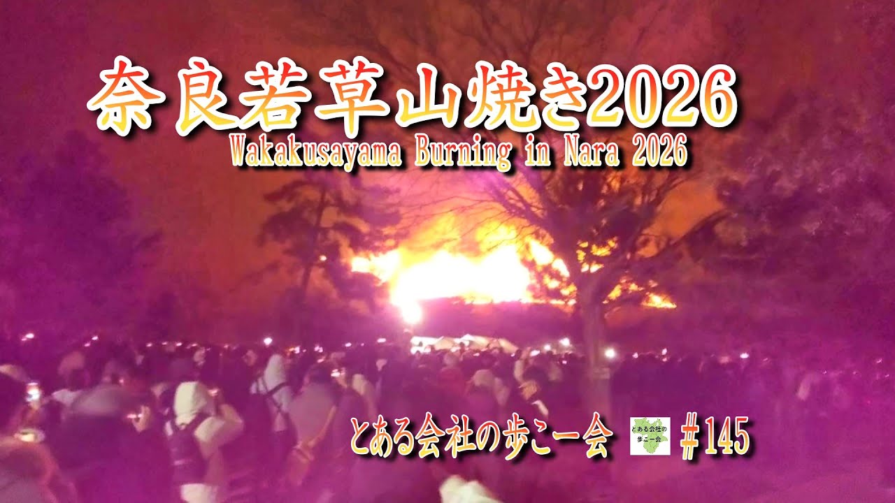 奈良若草山焼き2026【とある会社の歩こー会】＃145　2026.1　Wakakusayama Burning in Nara 2026, Japan