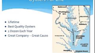 Buy Oysters Online