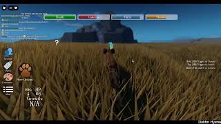 Eternal Enemies: RECODE UPDATE!