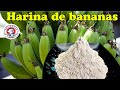 Como hacer harina de bananas  Pura y organica