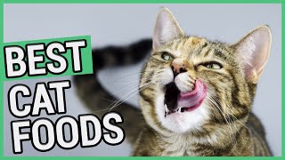Best Cat Food | 5 Best Dry & Wet/Canned Cat Foods 2021 🐱 ✅ by PETSCOPE 12,096 views 4 years ago 10 minutes, 2 seconds