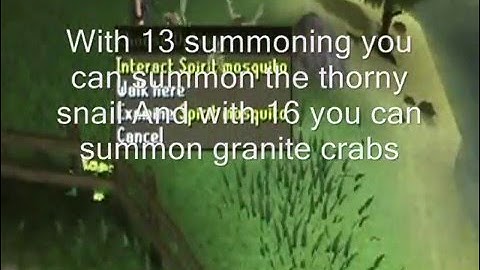 Runescape Summoning Guide
