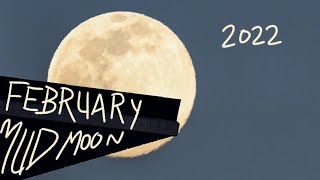 February 22 Full Moon: Naming conventions, mud symbolism, and a tarot spread!