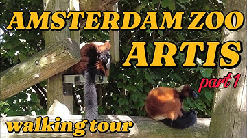 🇳🇱 ARTIS ZOO AMSTERDAM - WALKING TOUR | 4K UHD | part 1