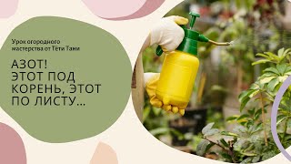 картинка: АЗОТ. Этот под корень. этот по листу,  этот уменьшить ...