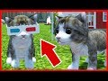 НОВЫЙ СИМУЛЯТОР КОТЕНКА в игре Cat Simulator Animal Life