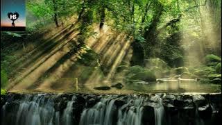 Bolero Ravel very low version  Relaxing Music