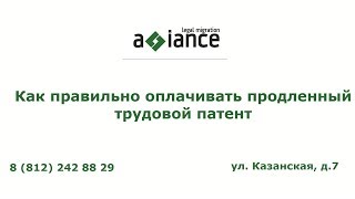 Как правильно оплачивать продленный трудовой патент