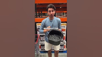 The BEST Non-Toxic Air Fryer!