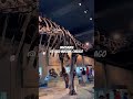 Dinosaurs @ Field Museum, Chicago, USA
