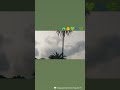 🫧A beautiful village morning vibes 🍃 हरियाली 🫧 peacock's voice 🦚🐥@bbcearth