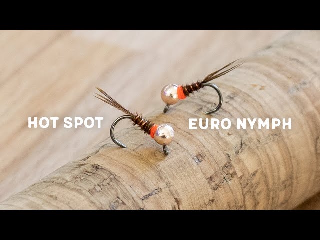 Awesome WINTER Euro Nymph Fly Fishing Pattern! Tying Tutorial: Micro Hot  Tag Pheasant Tail for Trout 