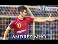Andrezinho johor  2013   ofensive midfielder   a r f sports