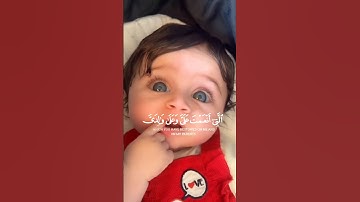 القارئ بلال دربالي | فتبسم ضاحكا من قولها وقال رب أوزعني أن أشكر نعمتك - سورة النمل آية ١٩