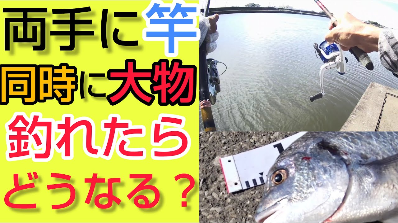 【大物釣り】2本 泳がせ釣り】2本同時に大物が掛かったらどうなったか - YouTube