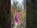 Comedy Mrsufiyan Mrsufiyan0711 Funny 