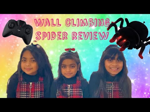 Remote Control Wall Climbing Spider Toy Review