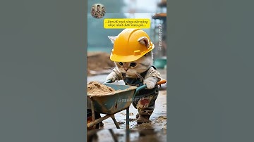 Rơi nước mắt với người cha làm đủ việc cực khổ kiếm tiền học phí cho con 😥#cats #shorts #funny