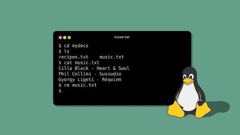 Ethical Hacking course  Cyber Security 💀|  Introduction to the Linux terminal