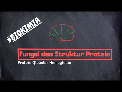 Video: Bagaimana struktur kuartener hemoglobin?