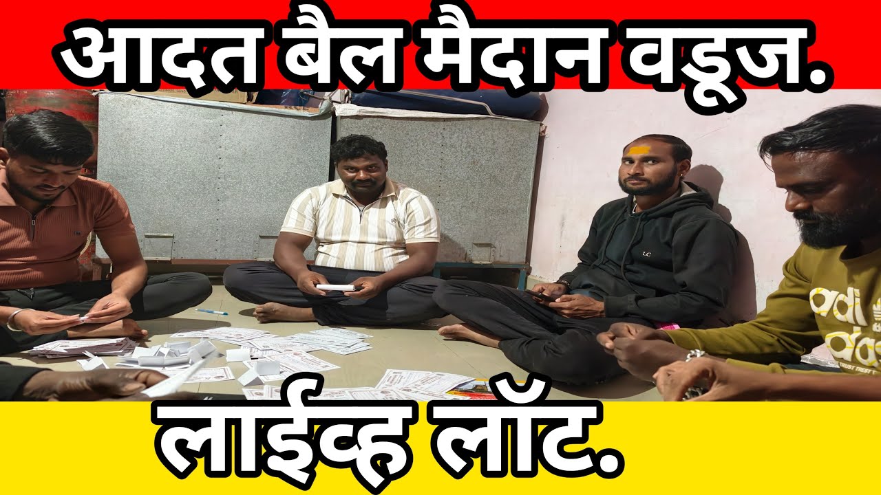 आदत बैल मैदान लाईव्ह लॉट वडूज 