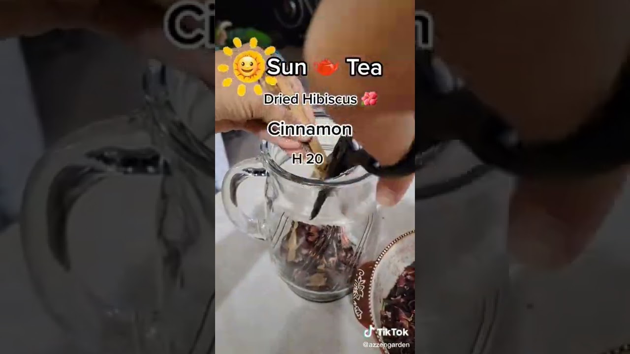 How to make Hibiscus Sun Tea 