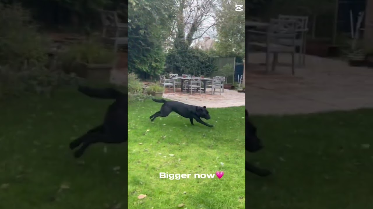 The memories ✨💖 