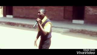 Sharking Dibless Video Trophy