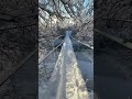 Snowy Road #snowfall #icyroad #shorts #youtubeshorts