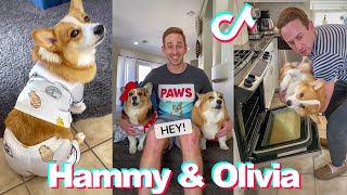 The Best of Hammy and Olivia TikToks of 2021 - Funny Hammy &amp; Olivia Corgi TikTok Compilation