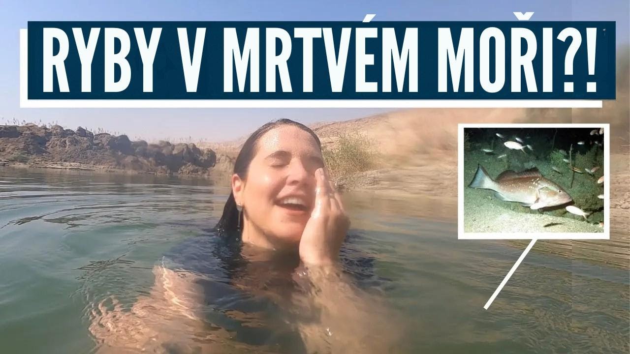 PROROCTVÍ SE NAPLŇUJE DNES! Izrael s Aline