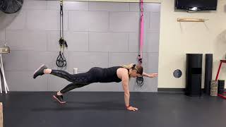 Contralateral Plank Hold