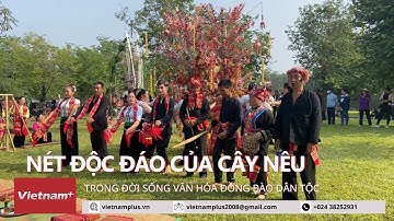 Nét độc đáo của cây nêu trong đời sống văn hóa đồng bào dân tộc thiểu số