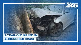 2-year-old girl killed, 8-year-old girl injured in DUI crash