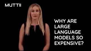 Why Are Large Language Models So Expensive Explained!