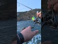 Cómo desenrocar un señuelo en segundos #spinning #rockfishing #fishing #lubina #señuelosdepesca