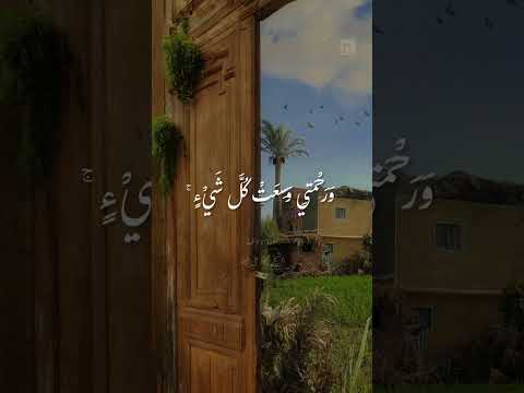 حالات واتس قران كريم الشيخ محمود البنا واكتب لنا في هذه الدنيا حسنة وفي الاخرة