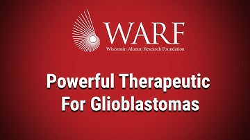 New Therapeutic for Glioblastoma, the Most Lethal Form of Brain Cancer: 2023 WARF Innovation Awards
