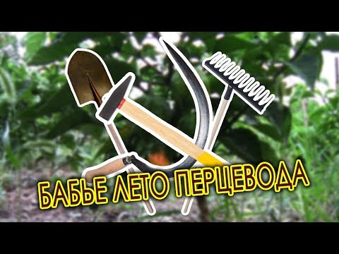 67. Бабье лето перцевода