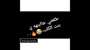 طلعتي خاينة يابنت الكلب 