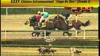 Clásico Copa de Oro de Venezuela [Gr. 1] 2014 - La Rinconada