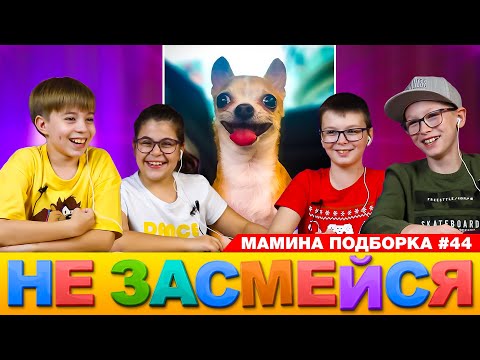 Видео: Думаешь ты сможешь НЕ СМЕЯТЬСЯ? 😆 ➢ НЕ ЗАСМЕЙСЯ ЧЕЛЛЕНДЖ или МАМИНА ПОДБОРКА #44