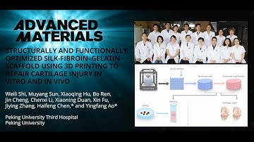 Structurally and Functionally Optimized Silk-Fibroin–Gelatin Scaffold Using 3D