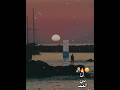 انا ف العيد همشي بعيد اكسبلور تصميم فيديوهات Shortvideo Shortsvideo Shorts محمد البصيلي لايك 