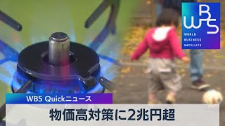 物価高対策に２兆円超【WBS】（2023年3月20日）