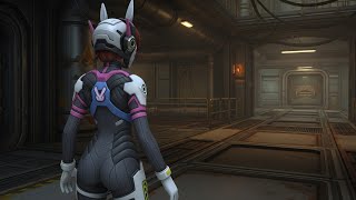 Dva Overwach Mod - Haydee Game Twitch