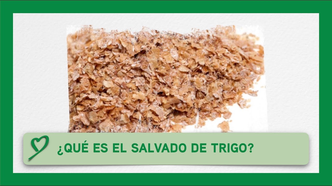 Qué es el SALVADO DE TRIGO? 